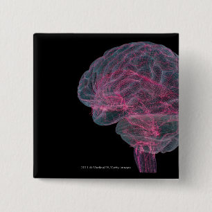 Hintere Ansicht des menschlichen Gehirns Button