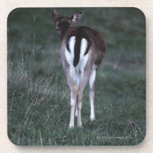 Hintere Ansicht eines Rotwilds, Neuseeland Getränkeuntersetzer