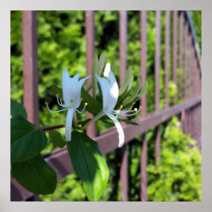 hintereinander poster