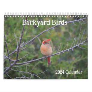 Hintergrund Birds 2024 Kalender