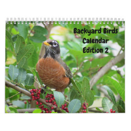 Hintergrund Birds - Ausgabe 2 Kalender