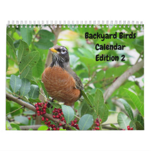 Hintergrund Birds - Ausgabe 2 Kalender