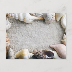 Hintergrund der Muschel - Beach Muscheln individue Postkarte