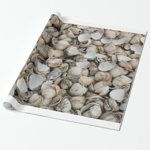 Hintergrund der Muscheln Geschenkpapier