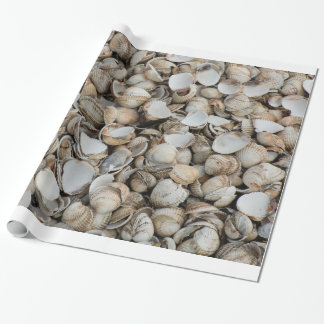 Hintergrund der Muscheln Geschenkpapier