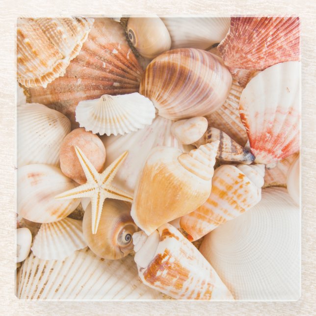 Hintergrund der Muscheln: Meeresthema. Glasuntersetzer (Vorderseite)