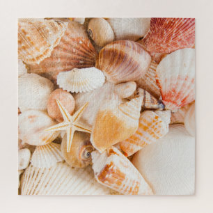 Hintergrund der Muscheln: Meeresthema. Puzzle