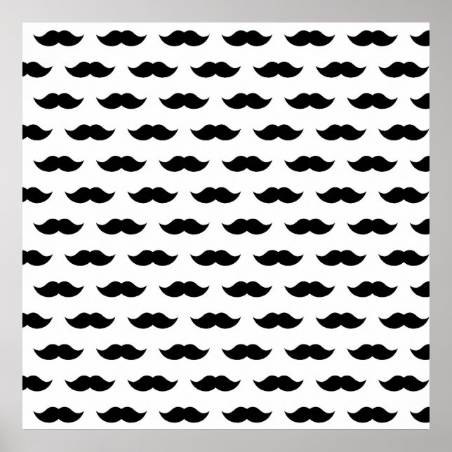 Hintergrund der Schwarzen Schleiche Poster (Vorne)