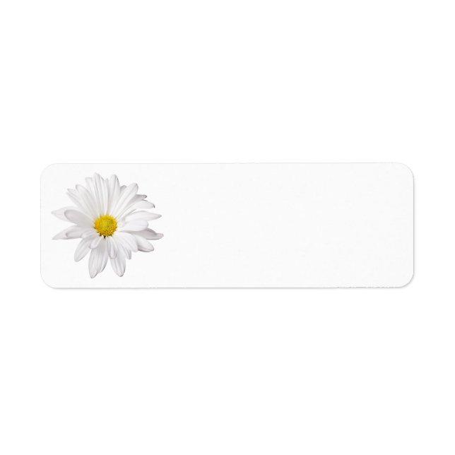 Hintergrund der White Daisy Blume - kundenspezifis (Vorne)