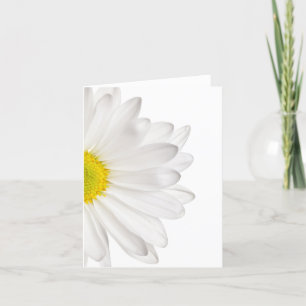 Hintergrund der White Daisy Blume - kundenspezifis Karte