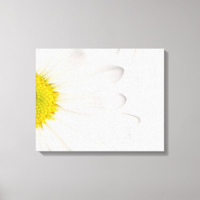 Hintergrund der White Daisy Blume - kundenspezifis Leinwanddruck (Vorderseite)