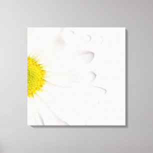 Hintergrund der White Daisy Blume - kundenspezifis Leinwanddruck