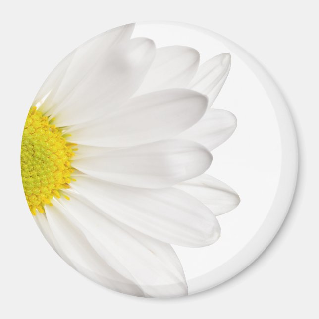 Hintergrund der White Daisy Blume - kundenspezifis Magnet (Vorne)