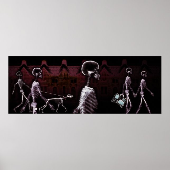 Hintergrund des Fischfangs - Ray Skelettstadt Poster (Vorne)