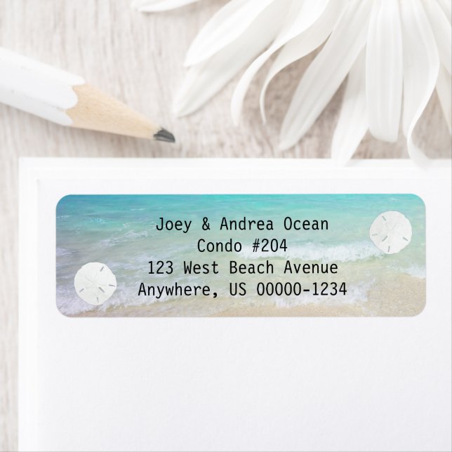 Hintergrund des kleinen SandDollars (Insitu)