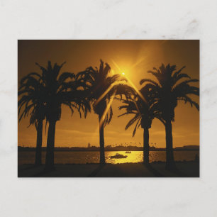 Hintergrund des tropischen Luftraums Postkarte