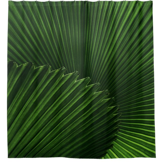 Hintergrund Duschvorhang (Vorderseite)