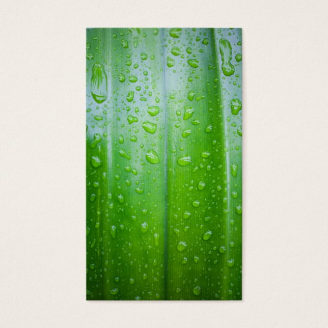 Hintergrund für grüne Blätter (Vorderseite)