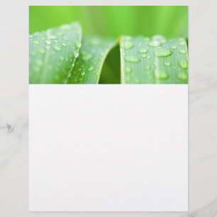 Hintergrund für grüne Blätter Flyer