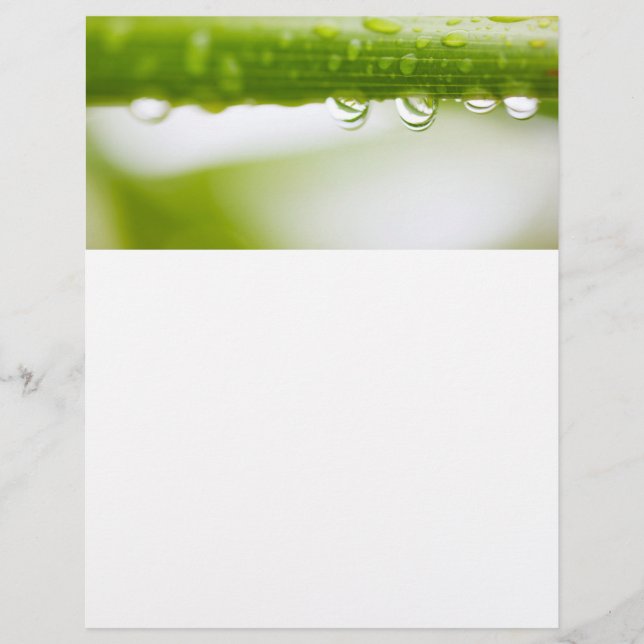 Hintergrund für grüne Blätter Flyer (Vorne)