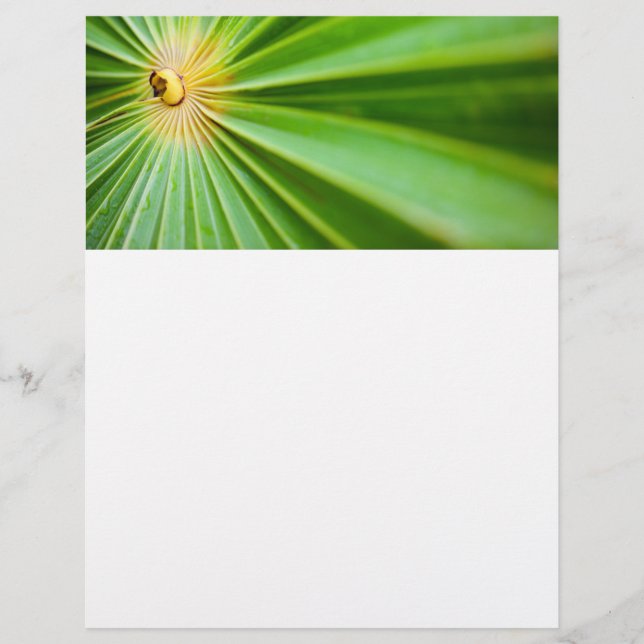 Hintergrund für grüne Blätter Flyer (Vorne)