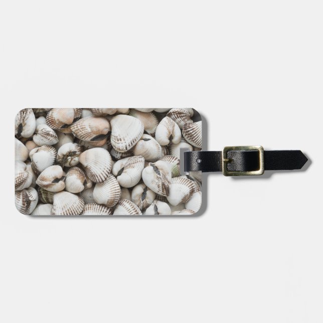 Hintergrund für Muscheln Gepäckanhänger (Vorderseite horizontal)