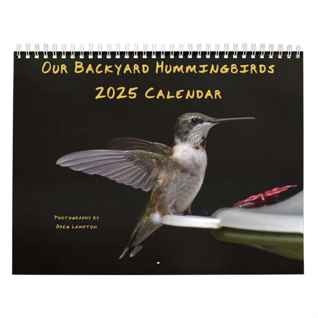 Hintergrund Hummingbirds 8.5" x 11" Kalender (Titelbild)