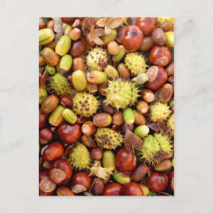 Hintergrund im Herbst Postkarte