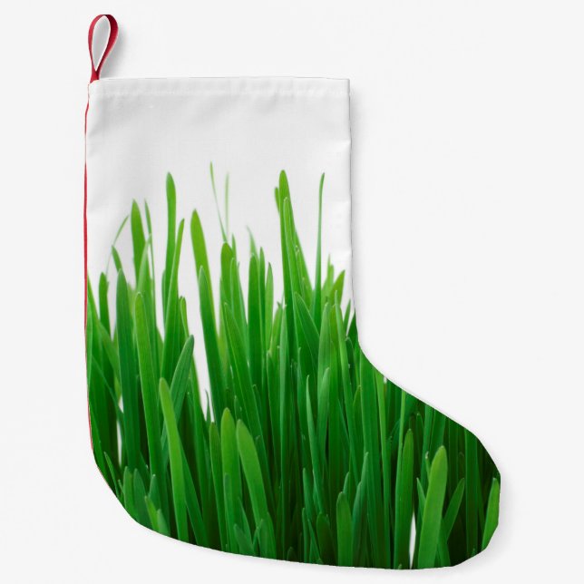 Hintergrund nah Flora frisch Kleiner Weihnachtsstrumpf (Vorderseite)