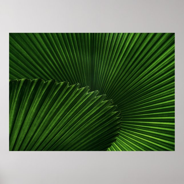 Hintergrund Poster (Vorne)