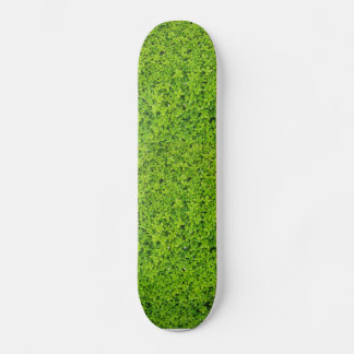 Hintergrund von Ivy Wall Skateboard
