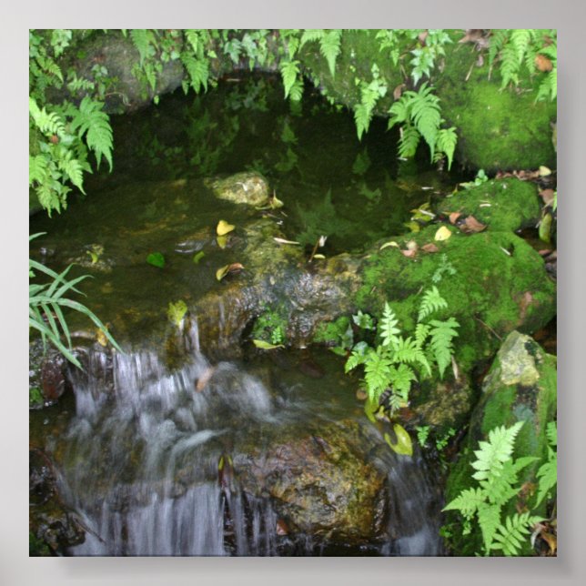 Hintergrundbild des Fotos für die Fixierseite Poster (Vorne)