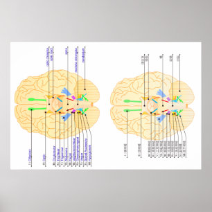 Hintergrundbild Englisch & Japanisch Poster