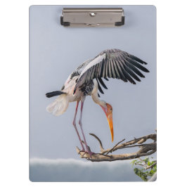 Hintergrundbild für Vogel-Hintergrundbilder - Natu Klemmbrett