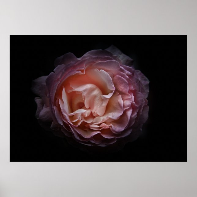 Hintergrundfarbe Blume Nr. 106 Poster (Vorne)