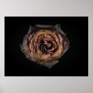 Hintergrundfarbe Blume Nr. 139 Poster