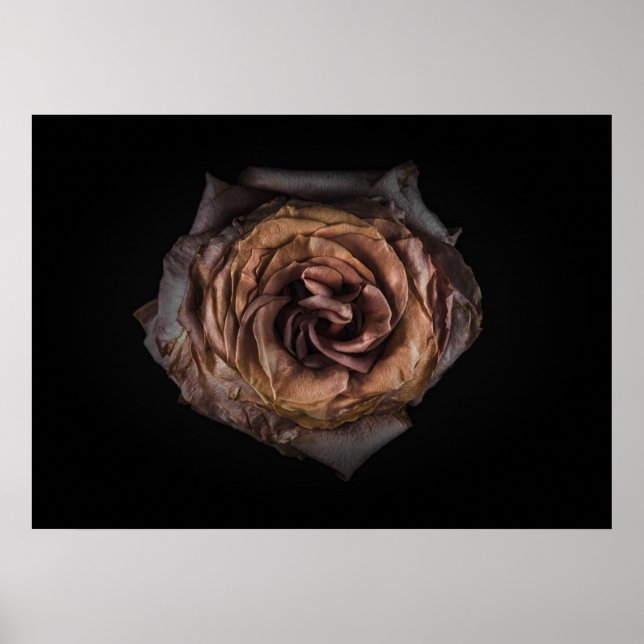 Hintergrundfarbe Blume Nr. 139 Poster (Vorne)
