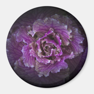 Hintergrundfarbe Blume Nr. 42 Magnet