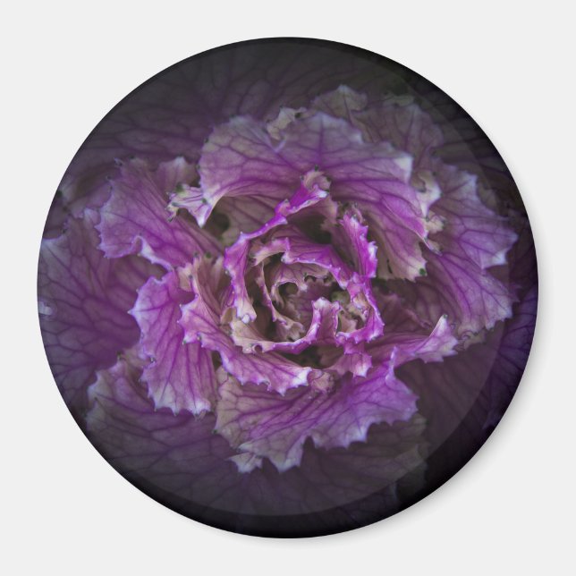 Hintergrundfarbe Blume Nr. 42 Magnet (Vorne)