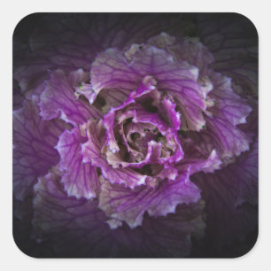 Hintergrundfarbe Blume Nr. 42 Quadratischer Aufkleber