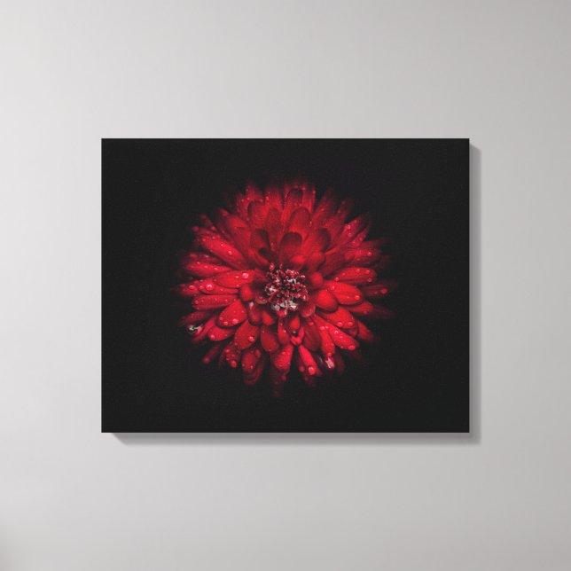 Hintergrundfarbe Blume Nr. 45 Leinwanddruck (Vorderseite)