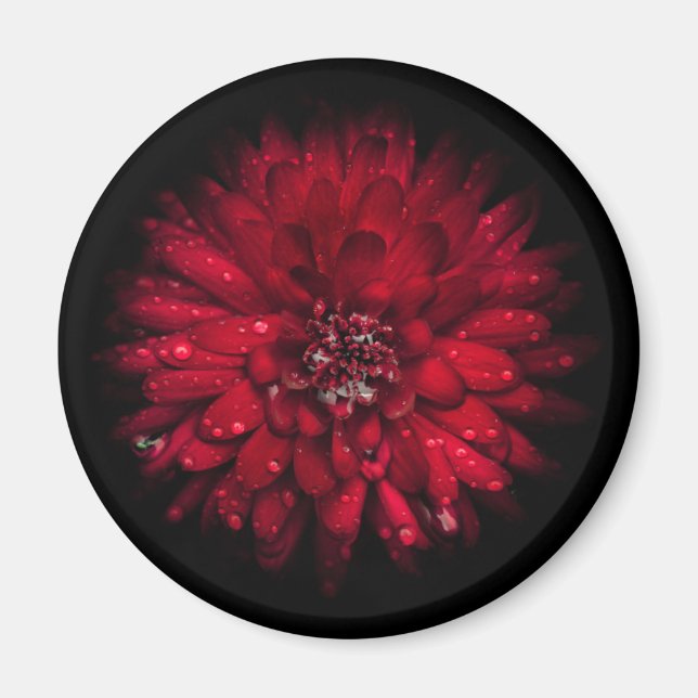 Hintergrundfarbe Blume Nr. 45 Magnet (Vorne)