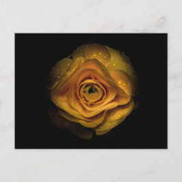 Hintergrundfarbe Blume Nr. 74 Postkarte