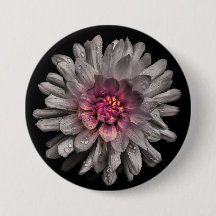 Hintergrundfarbe Blume Nr. 91