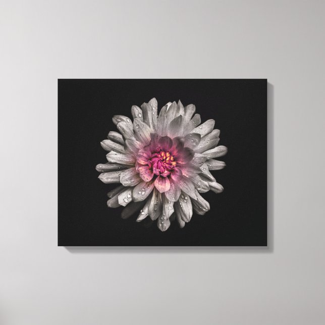 Hintergrundfarbe Blume Nr. 91 Leinwanddruck (Vorderseite)