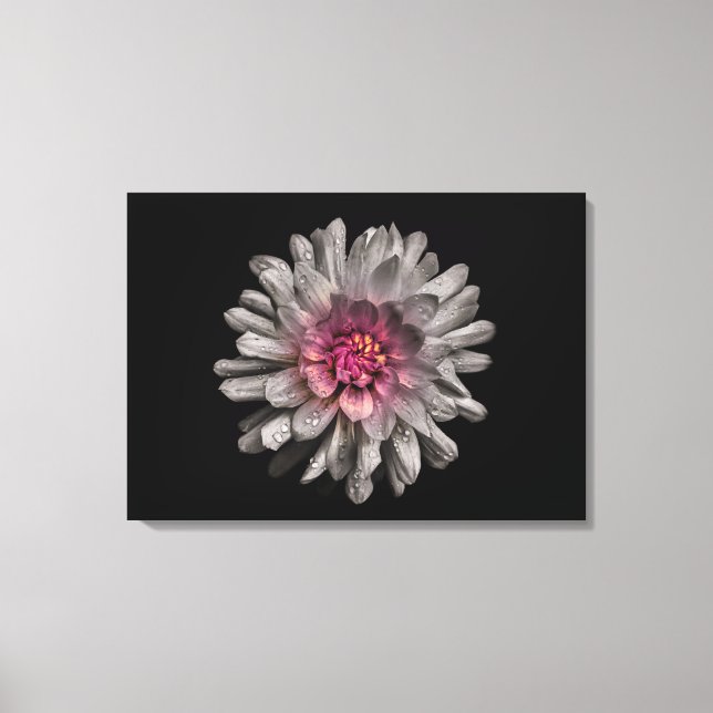 Hintergrundfarbe Blume Nr. 91 Leinwanddruck (Vorderseite)
