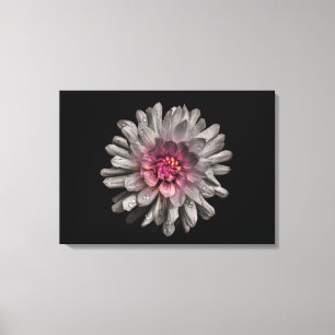 Hintergrundfarbe Blume Nr. 91 Leinwanddruck