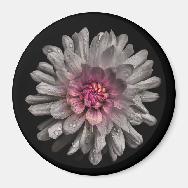 Hintergrundfarbe Blume Nr. 91 Magnet (Vorne)