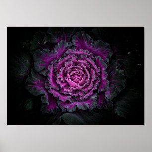 Hintergrundfarbe der Blume Nr. 99 Poster