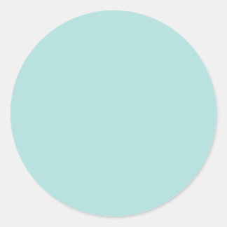 Hintergrundfarbe - Robins Egg Blau Runder Aufkleber